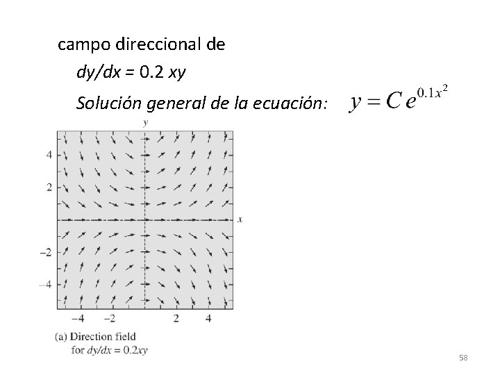 campo direccional de dy/dx = 0. 2 xy Solución general de la ecuación: 58