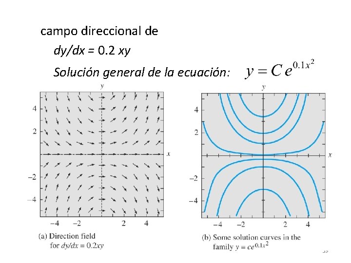 campo direccional de dy/dx = 0. 2 xy Solución general de la ecuación: 59