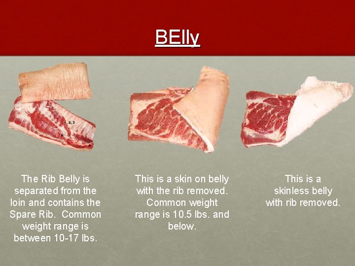 BElly The Rib Belly is separated from the loin and contains the Spare Rib.