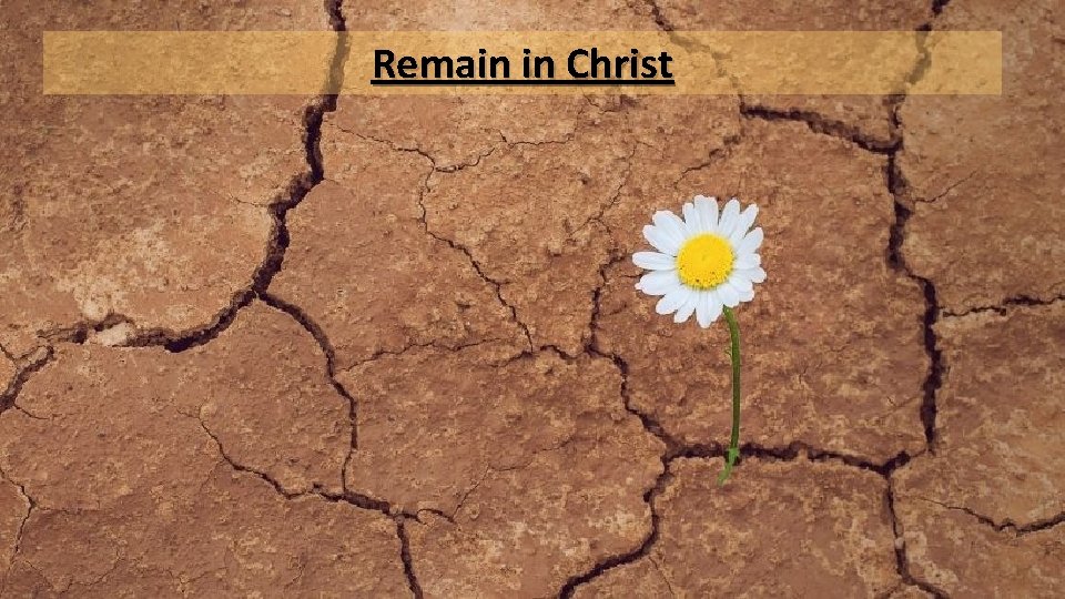 Remain in Christ 