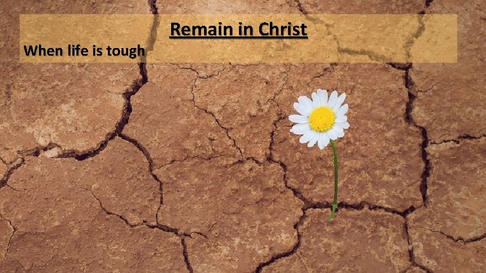 When life is tough Remain in Christ 