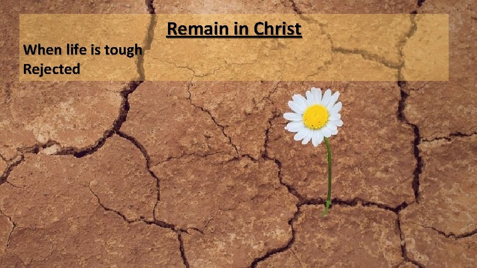 When life is tough Rejected Remain in Christ 