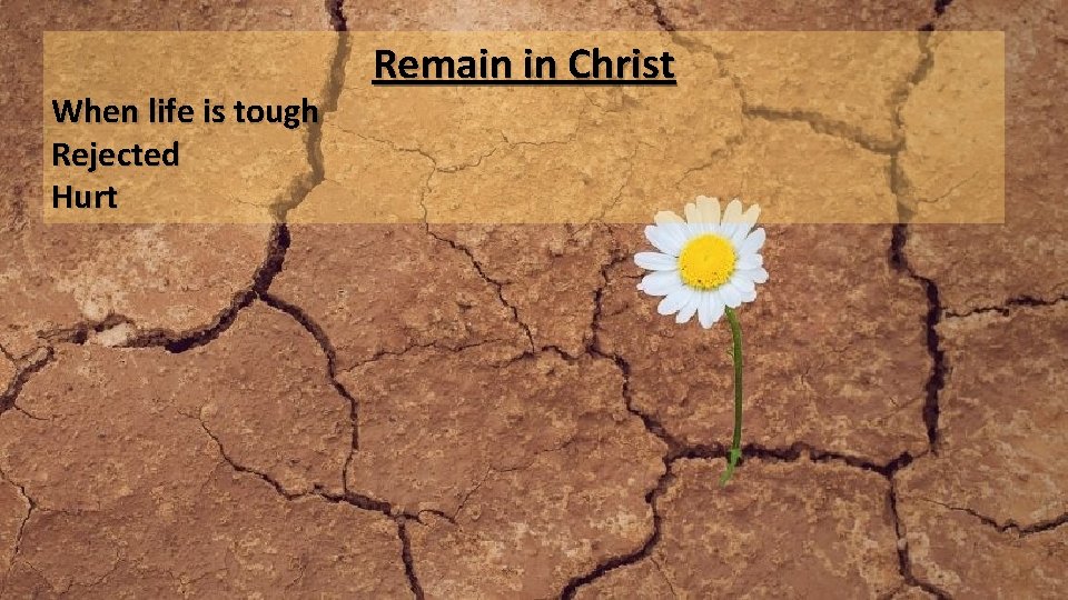 When life is tough Rejected Hurt Remain in Christ 