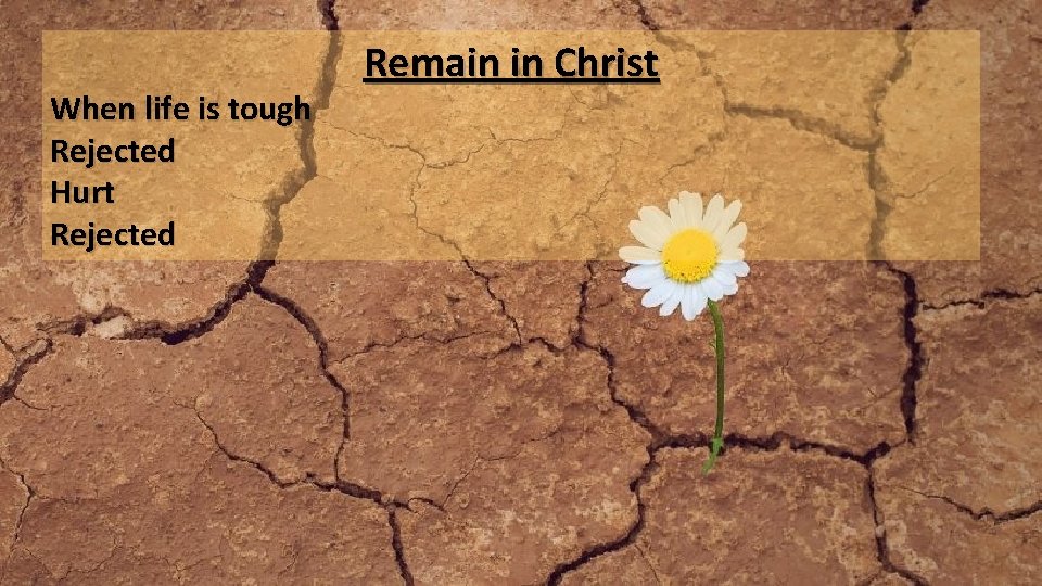 When life is tough Rejected Hurt Rejected Remain in Christ 