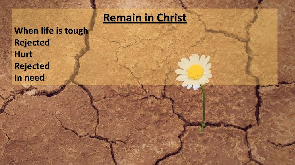 When life is tough Rejected Hurt Rejected In need Remain in Christ 