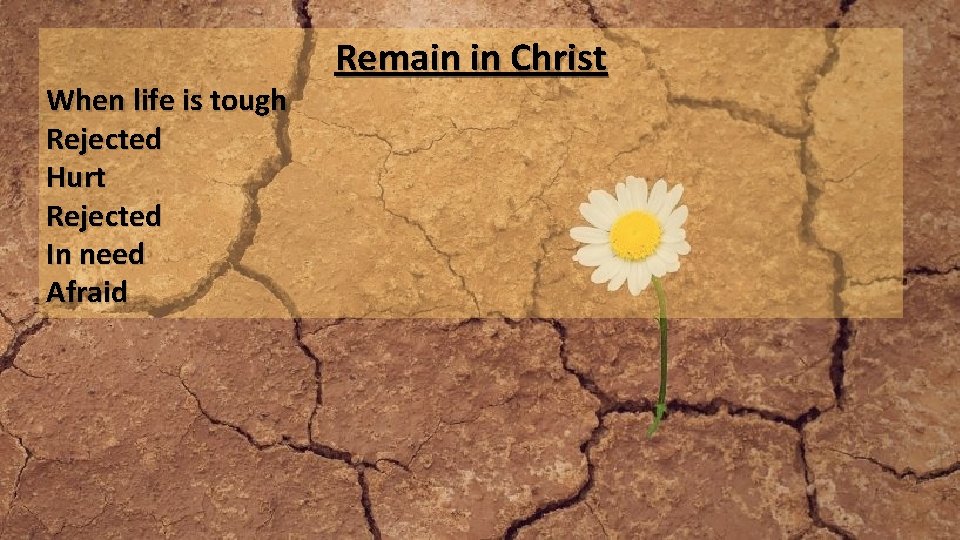 When life is tough Rejected Hurt Rejected In need Afraid Remain in Christ 