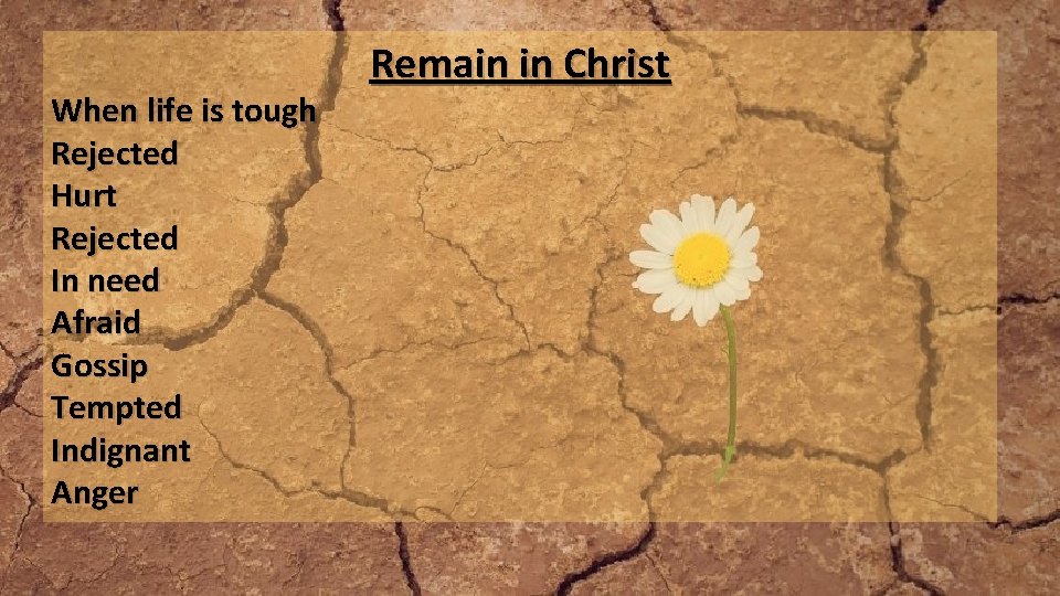 When life is tough Rejected Hurt Rejected In need Afraid Gossip Tempted Indignant Anger