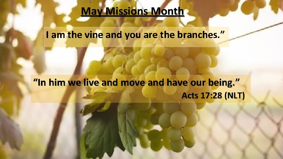 May Missions Month I am the vine and you are the branches. ” “In