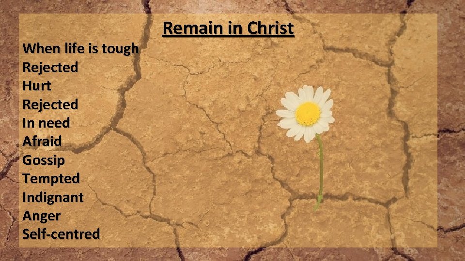 When life is tough Rejected Hurt Rejected In need Afraid Gossip Tempted Indignant Anger