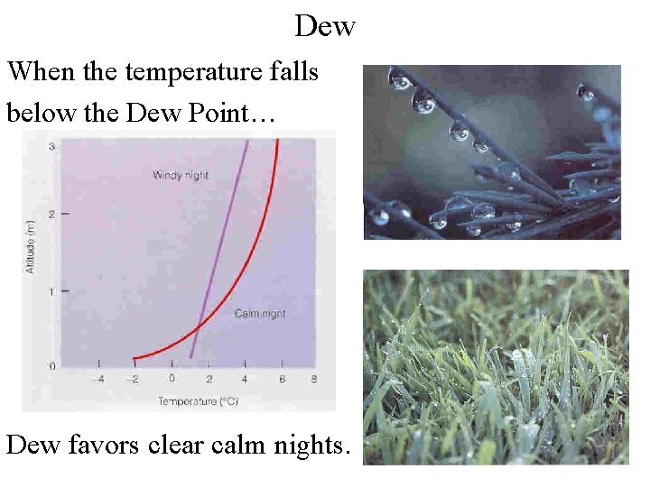 Dew When the temperature falls below the Dew Point… Dew favors clear calm nights. Dew When the temperature falls below the Dew Point… Dew favors clear calm nights.