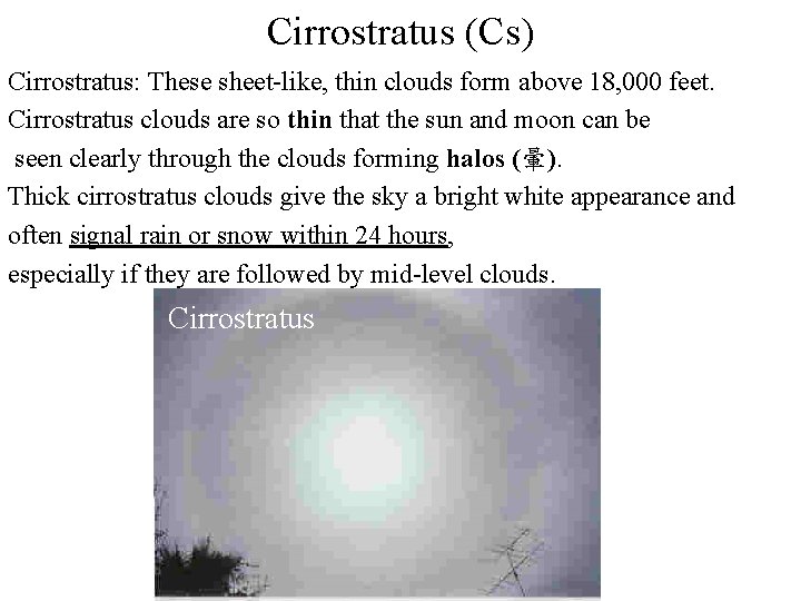 Cirrostratus (Cs) Cirrostratus: These sheet-like, thin clouds form above 18, 000 feet. Cirrostratus clouds Cirrostratus (Cs) Cirrostratus: These sheet-like, thin clouds form above 18, 000 feet. Cirrostratus clouds