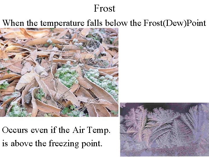 Frost When the temperature falls below the Frost(Dew)Point Occurs even if the Air Temp. Frost When the temperature falls below the Frost(Dew)Point Occurs even if the Air Temp.