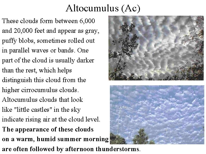 Altocumulus (Ac) These clouds form between 6, 000 and 20, 000 feet and appear Altocumulus (Ac) These clouds form between 6, 000 and 20, 000 feet and appear