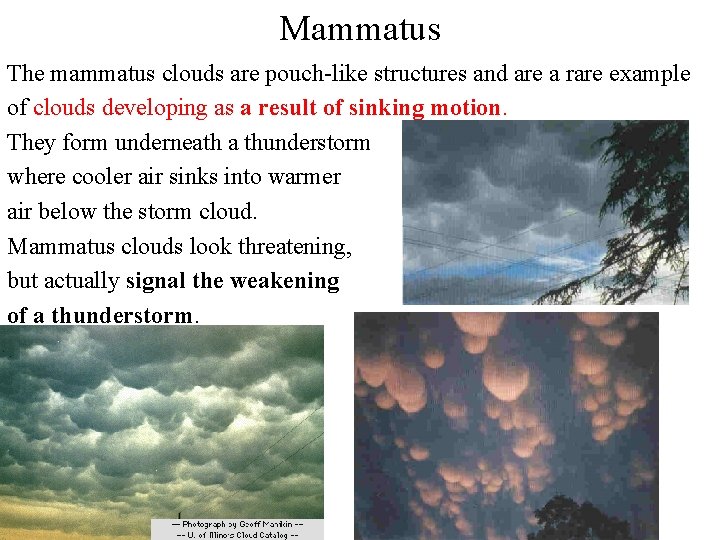 Mammatus The mammatus clouds are pouch-like structures and are a rare example of clouds Mammatus The mammatus clouds are pouch-like structures and are a rare example of clouds