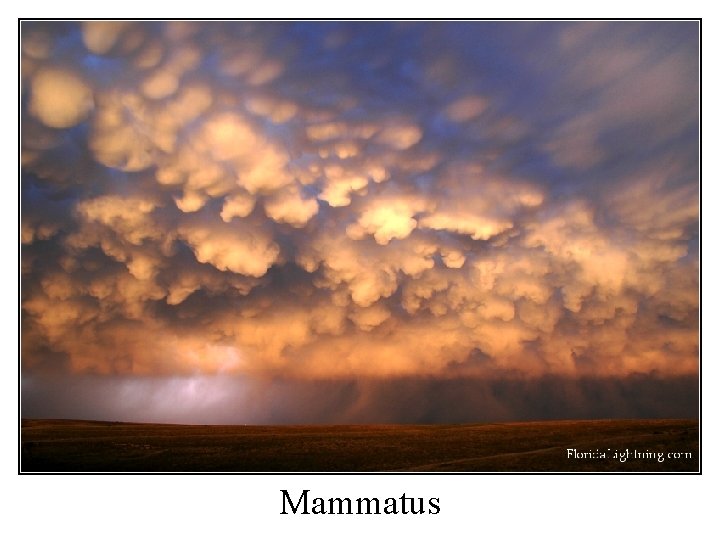 Mammatus Mammatus