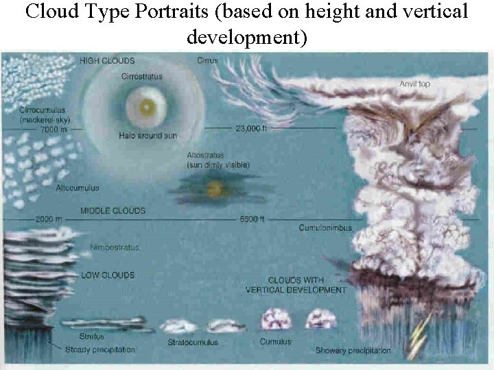 Cloud Type Portraits (based on height and vertical development) Cloud Type Portraits (based on height and vertical development)
