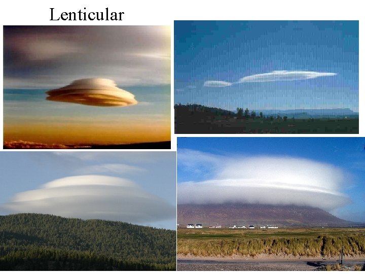 Lenticular Lenticular