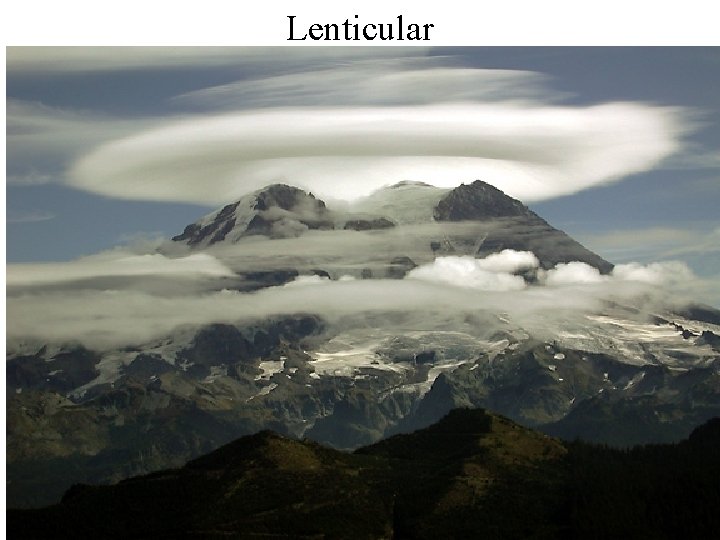 Lenticular Lenticular