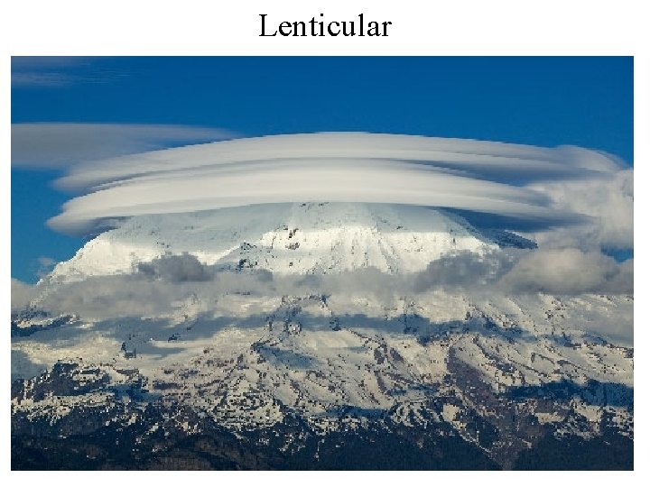 Lenticular Lenticular