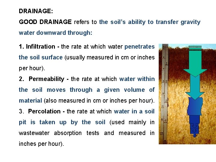 DRAINAGE: GOOD DRAINAGE refers to the soil’s ability to transfer gravity water downward through: