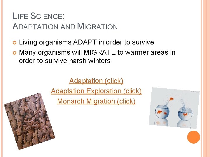 LIFE SCIENCE: ADAPTATION AND MIGRATION Living organisms ADAPT in order to survive Many organisms