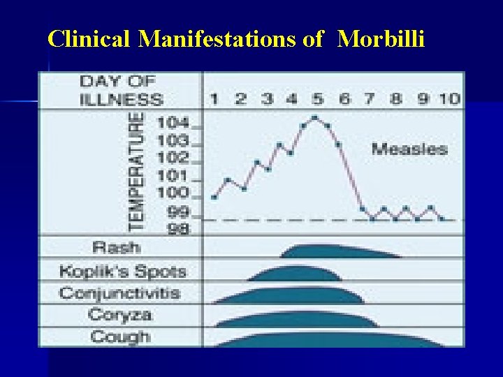 Clinical Manifestations of Morbilli 