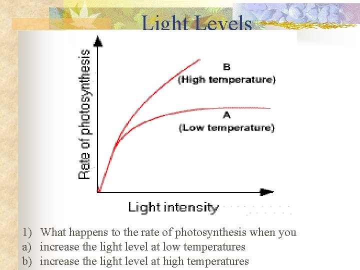 Light Levels 1) What happens to the rate of photosynthesis when you a) increase