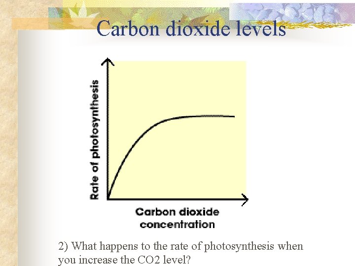 Carbon dioxide levels 2) What happens to the rate of photosynthesis when you increase