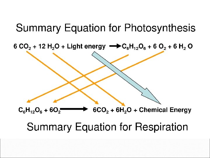 Photosynthesis Cell Respiration How do we get our