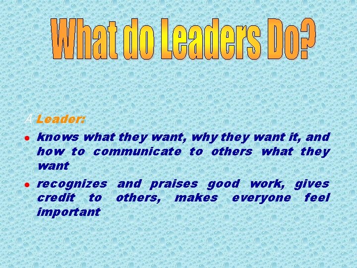 A Leader: l knows what they want, why they want it, and how to