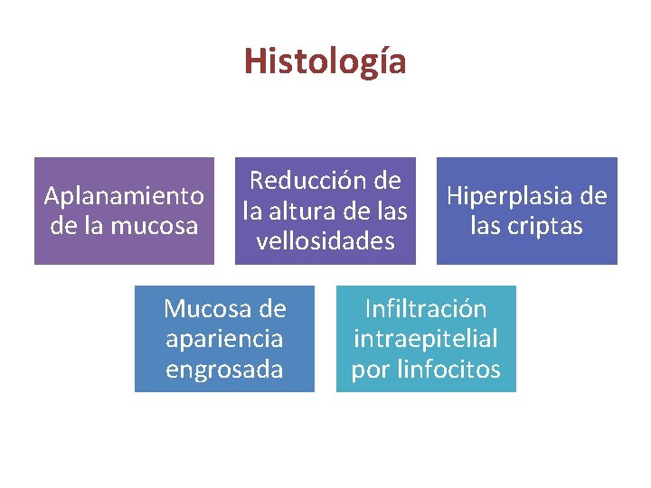 Histología Aplanamiento de la mucosa Reducción de la altura de las vellosidades Mucosa de Histología Aplanamiento de la mucosa Reducción de la altura de las vellosidades Mucosa de