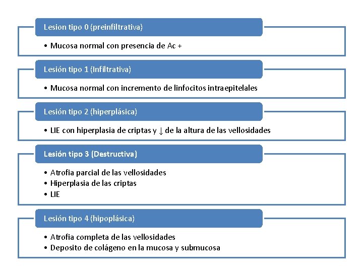 Lesion tipo 0 (preinfiltrativa) • Mucosa normal con presencia de Ac + Lesión tipo Lesion tipo 0 (preinfiltrativa) • Mucosa normal con presencia de Ac + Lesión tipo