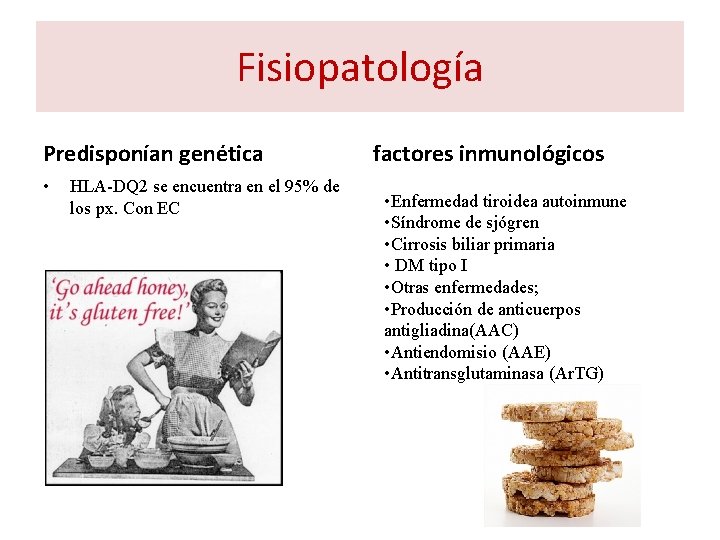 Fisiopatología Predisponían genética • HLA-DQ 2 se encuentra en el 95% de los px. Fisiopatología Predisponían genética • HLA-DQ 2 se encuentra en el 95% de los px.