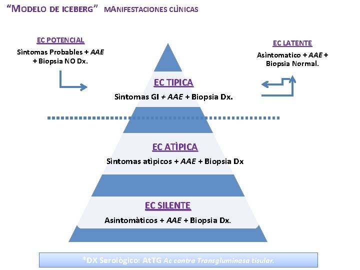 “MODELO DE ICEBERG” MANIFESTACIONES CLÌNICAS EC POTENCIAL Sìntomas Probables + AAE + Biopsia NO “MODELO DE ICEBERG” MANIFESTACIONES CLÌNICAS EC POTENCIAL Sìntomas Probables + AAE + Biopsia NO