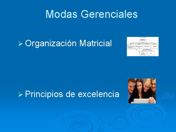 Modas Gerenciales Ø Organización Matricial Ø Principios de excelencia 