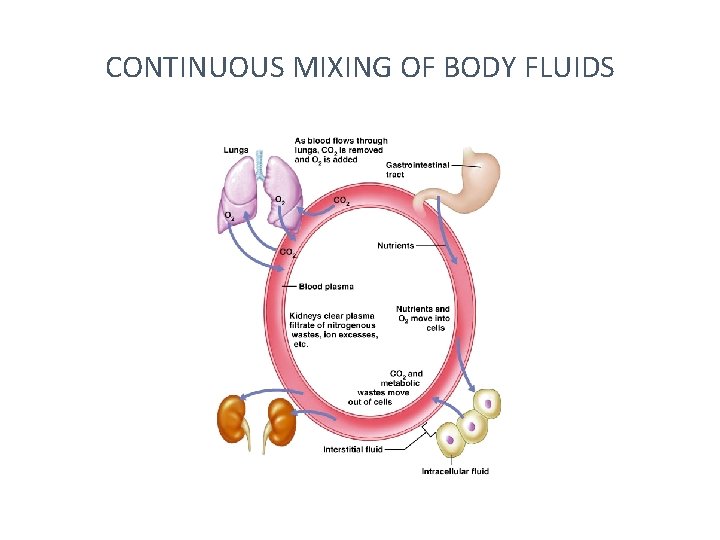 CONTINUOUS MIXING OF BODY FLUIDS 