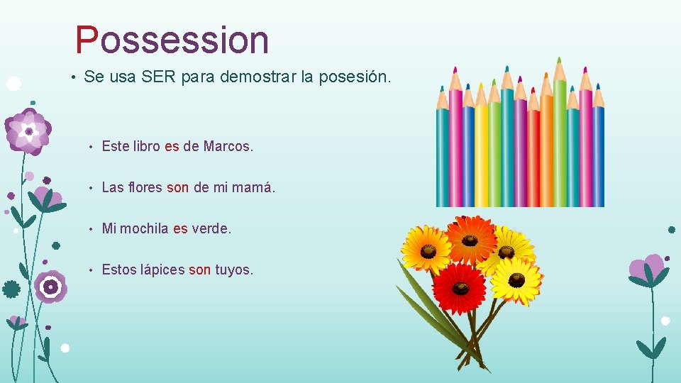 Possession • Se usa SER para demostrar la posesión. • Este libro es de