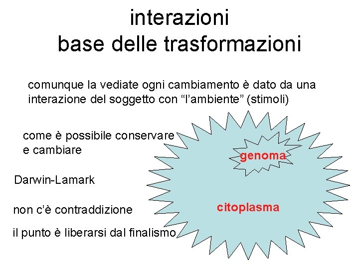 interazioni base delle trasformazioni comunque la vediate ogni cambiamento è dato da una interazione