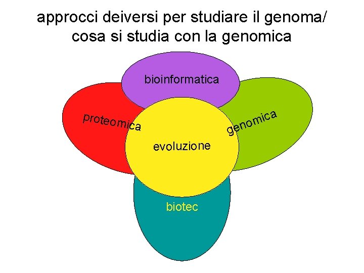 approcci deiversi per studiare il genoma/ cosa si studia con la genomica bioinformatica proteom