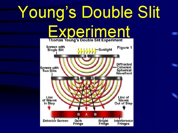Young’s Double Slit Experiment 