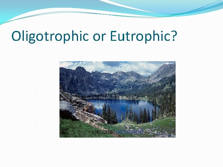 Oligotrophic or Eutrophic? 