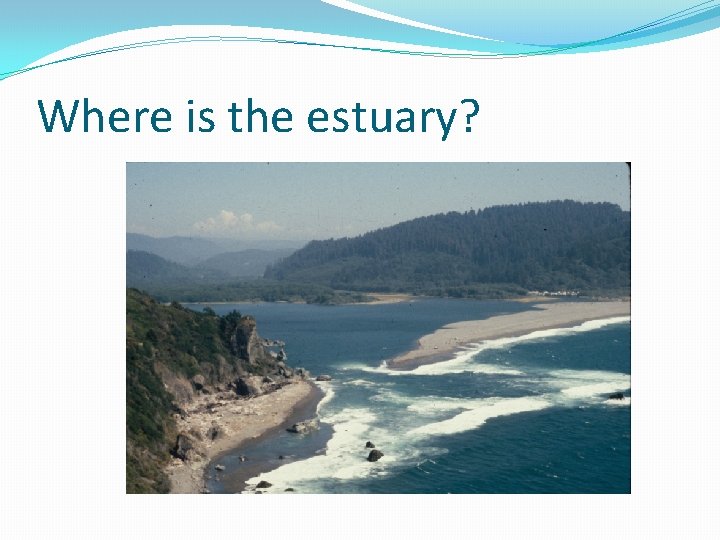 Where is the estuary? 
