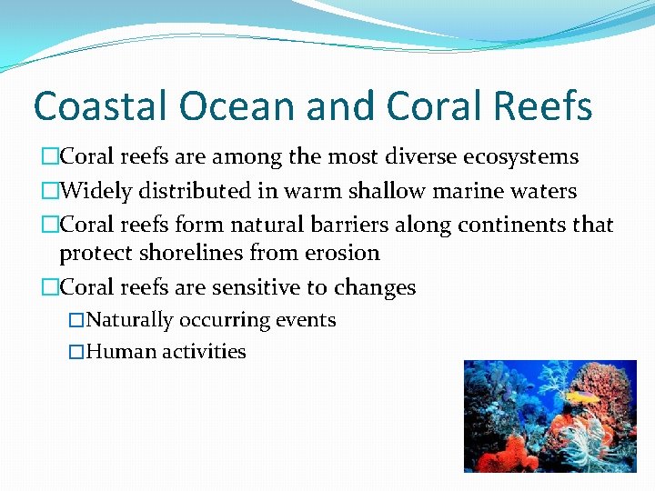 Coastal Ocean and Coral Reefs �Coral reefs are among the most diverse ecosystems �Widely