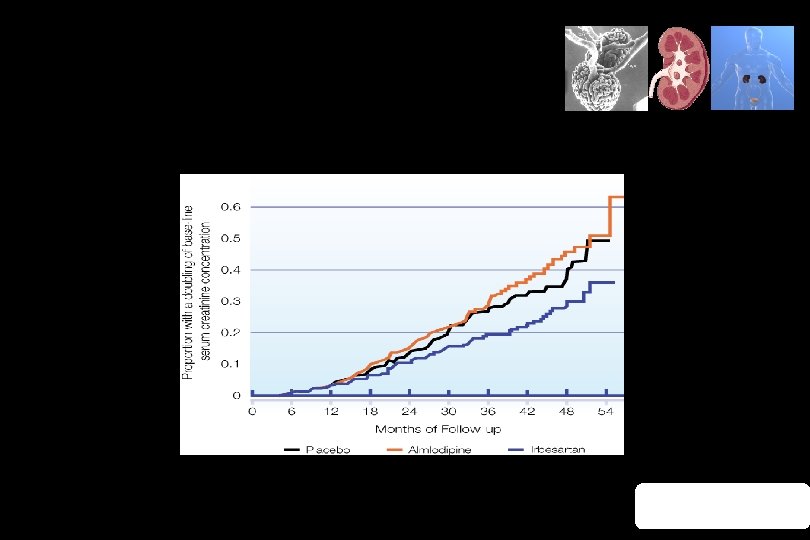 Renin-Angiotensin System Blockade Clinical Evidence IRBESARTAN IN DIABETIC NEPHROPATHY TRIAL (IDNT) STUDY (N=1715) •