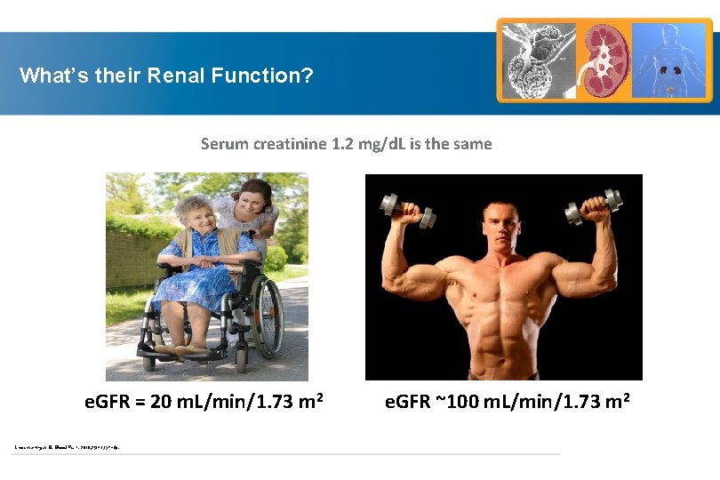 What’s their Renal Function? Serum creatinine 1. 2 mg/d. L is the same e.