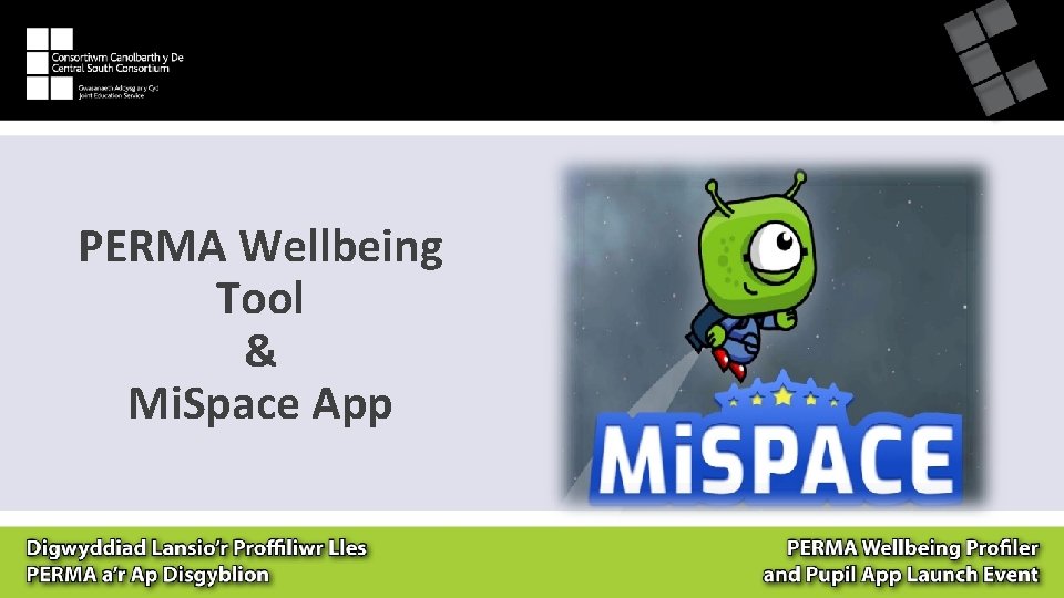 PERMA Wellbeing Tool & Mi. Space App 