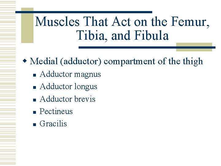 Muscles That Act on the Femur, Tibia, and Fibula w Medial (adductor) compartment of