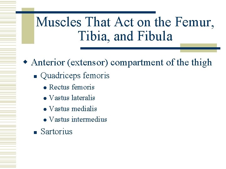 Muscles That Act on the Femur, Tibia, and Fibula w Anterior (extensor) compartment of
