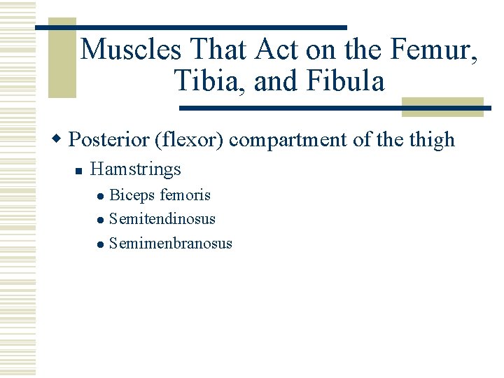 Muscles That Act on the Femur, Tibia, and Fibula w Posterior (flexor) compartment of