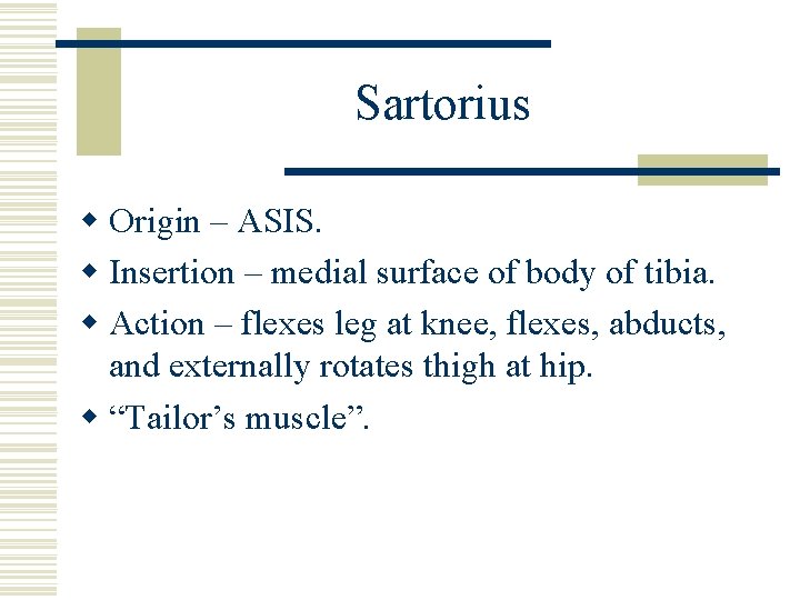 Sartorius w Origin – ASIS. w Insertion – medial surface of body of tibia.